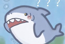 鲨鱼吃瓜头像情侣,趣味横生的网络潮流形象