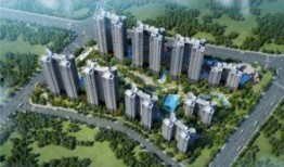 石家庄吃瓜群众保利