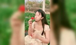 芊芊丫头吃瓜,揭秘娱乐圈那些不为人知的幕后故事