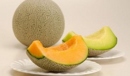 牛吃不吃哈密瓜,揭秘牛是否爱吃哈密瓜