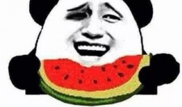 我疯狂吃瓜,揭秘疯狂吃瓜背后的故事