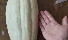 叶十七吃瓜,一场吃瓜引发的欢乐盛宴