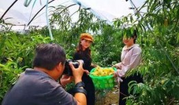 柘汪镇吃瓜,瓜香四溢，品味乡村美食之旅