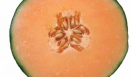 有风湿的可以吃哈密瓜吗,哈密瓜的养生之道