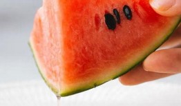 惠民吃瓜群众集合,共享欢乐，共话民生