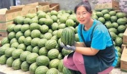 成都的吃瓜自己成了瓜,意外成为全民焦点瓜王