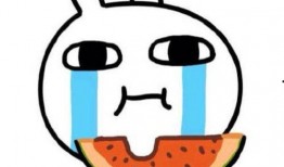 蒙头吃瓜情侣头像,甜蜜情侣头像背后的温馨故事