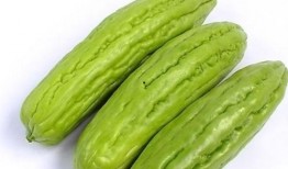 孕妇可以吃土瓜吗,土瓜的适宜与禁忌