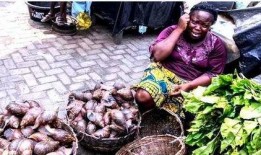 非洲加纳吃瓜视频,一瓜在手，清凉一夏