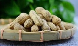 王瓜与花生可以一起吃吗,王瓜与花生同食的适宜性探讨