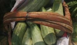 安新鸭货吃瓜,吃瓜群众的美食新宠