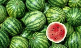 吃瓜不吃瓜有啥用处吗,揭秘网络热议背后的实用价值