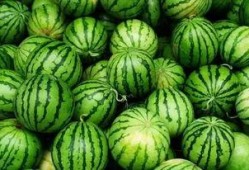 吃瓜看收藏,揭秘娱乐圈背后的收藏秘密