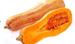 梦里吃黑色瓜,黑色瓜果的秘密之旅