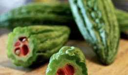 吃瓜5块,吃瓜5块的幕后故事