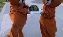 吃瓜小熊网站,带你领略网络娱乐新风尚