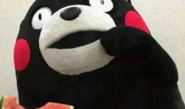 吃瓜 采访,一场别开生面的采访之旅