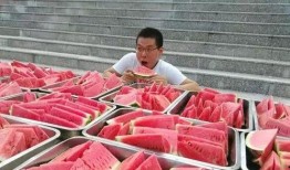 重庆合川某校吃瓜,揭秘校园里的那些“瓜”