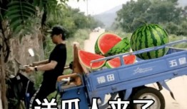 撞车吃瓜文案,吃瓜群众围观，揭秘事故背后的惊人真相！