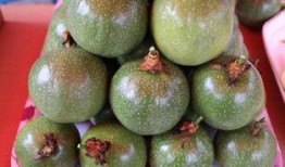 德昌县吃瓜,瓜果飘香，品味田园生活