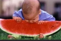 西瓜视频吃瓜比赛,全民狂欢，瓜界盛宴