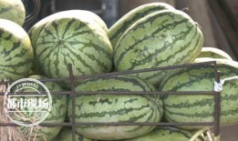 吃瓜tian,揭秘娱乐圈的幕后故事