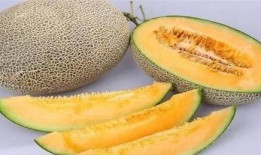 秋天吃哈密瓜好吗,哈密瓜的秋季享用指南