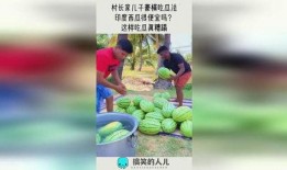 吃瓜真,吃瓜群众的视角