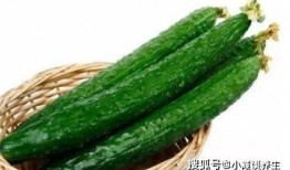 矮瓜可以滚熟吃,家常美味新体验
