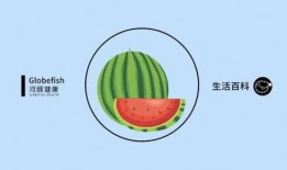 谚语吃瓜,揭秘网络热议背后的真相与趣味