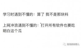 转头吃瓜知乎,揭秘网络热议背后的真相与笑料