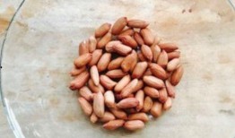 王瓜与花生可以一起吃吗,王瓜与花生同食的适宜性探讨