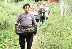 赵坝吃瓜事件,揭秘网络舆论的狂欢与反思