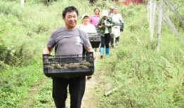 赵坝吃瓜事件,揭秘网络舆论的狂欢与反思