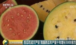 为什么叫吃瓜群众吃大瓜,一场网络文化的演变之旅