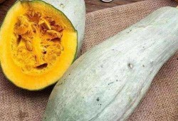 方瓜变黄了咋吃,探索美味新境界