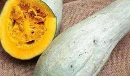 方瓜变黄了咋吃,探索美味新境界