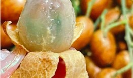 给宝贝吃黄皮瓜可以吗,黄皮瓜的营养益处与食用指南