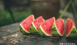 吃瓜小白白,吃瓜小白白的趣味食光之旅