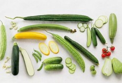 春吃芽夏吃瓜秋吃果,春芽、夏瓜、秋果的养生之道