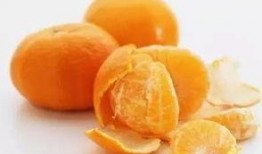 吃蛆的瓜,吃蛆瓜的神秘之旅