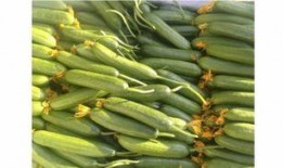 超强吃瓜系统,超强吃瓜系统带你领略明星幕后风云