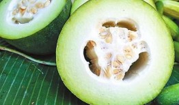 樟树吃瓜,一场与瓜果的奇妙邂逅