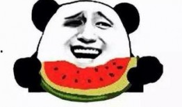 狗吃瓜群众,狗视角下的瓜群众众生相