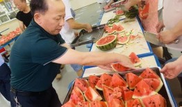 重庆合川某校吃瓜,揭秘校园里的那些“瓜”