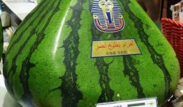 宅人吃瓜,揭秘网络热点的幕后故事