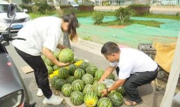 吃瓜5块,吃瓜5块的幕后故事