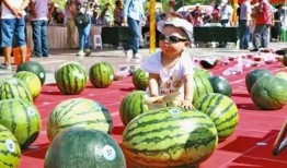 进行吃瓜比赛,一场别开生面的吃瓜大赛盛况回顾