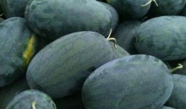 吃瓜高清在线观看,高清在线观看，畅享视觉盛宴