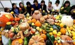 吃瓜无敌,揭秘娱乐圈幕后真相